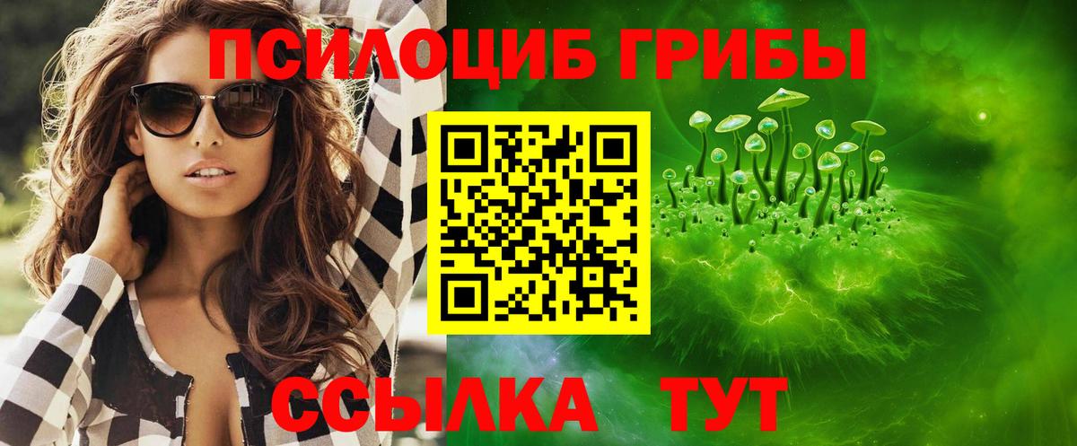Галлюциногенные грибы Psilocybine cubensis Лениногорск