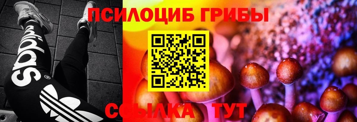 хочу   Псилоцибиновые грибы мицелий  Вход с VPN  Лениногорск 